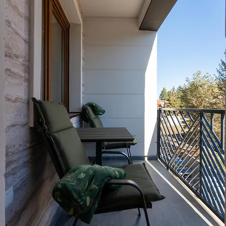 Velika Recepcija Cc Magnet 4* Zlatibor