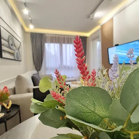 Velika Recepcija Cc Magnet Aparthotel